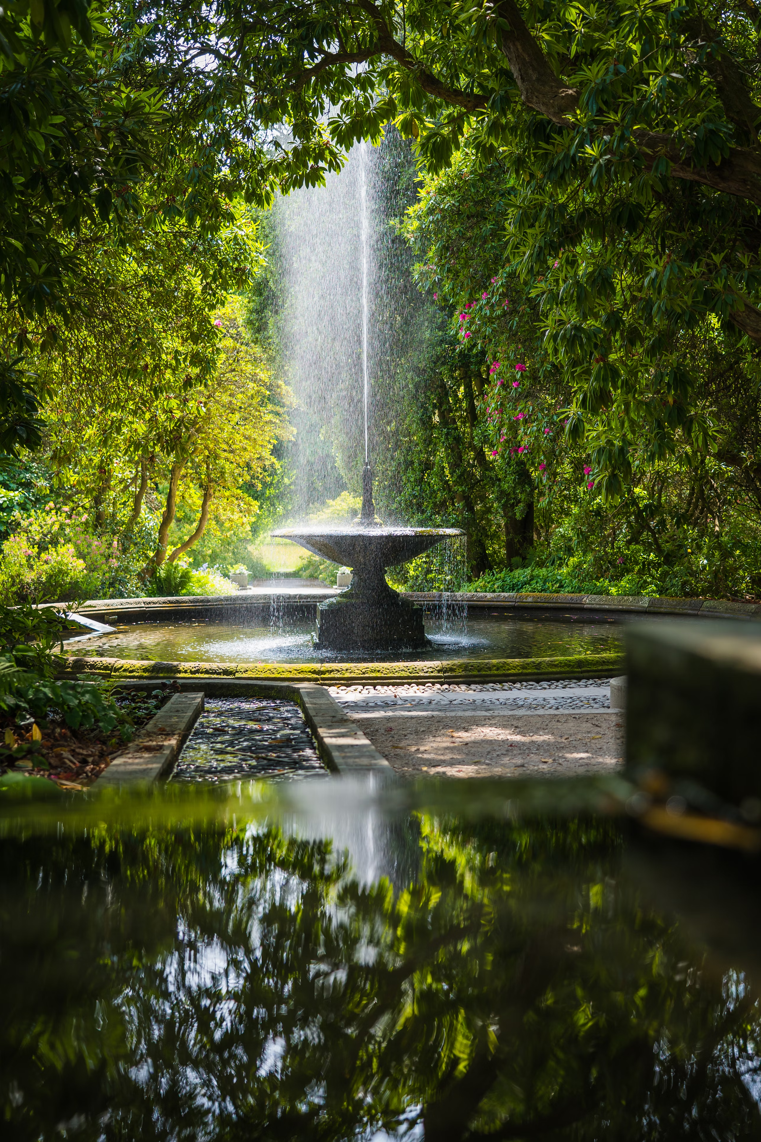 fountain in lush environment