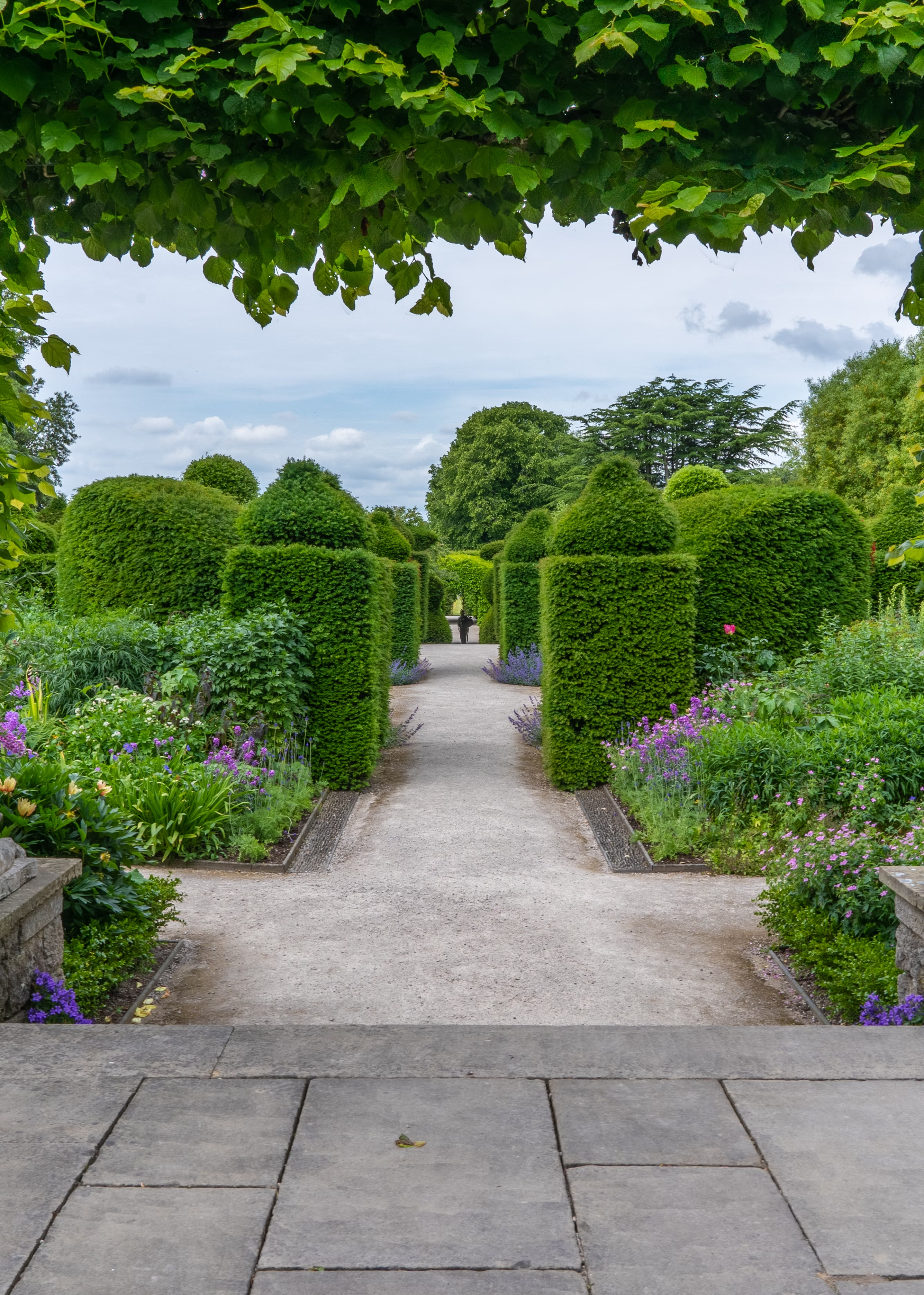 garden full of hedges and flowers